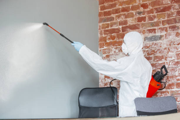 Best Post-Remediation Verification Testing  in Corinth, TX