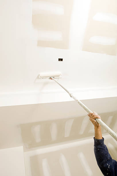 Reliable Corinth, TX Mold Removal Solutions